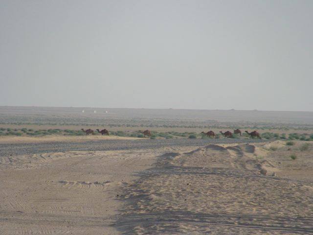 Desert outside Camp Buehring